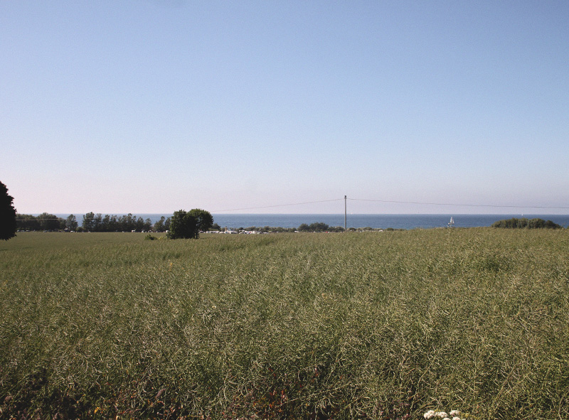 zuparken2015